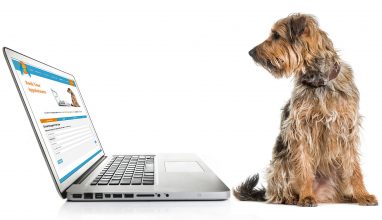 Header_Book_Online_Terrier
